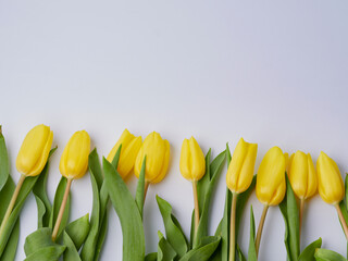 Obraz premium A bouquet of fresh yellow tulips on a white isolated background. Spring flowers in a vase.