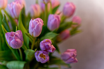 Piękny kolorowy bukiet wiosennych tulipanów - obrazy, fototapety, plakaty