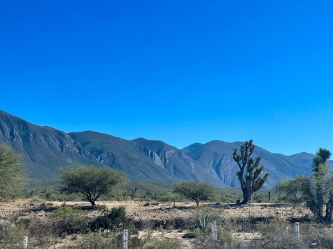 landscape in the mountains - huasteca tamaulipeca - mexico