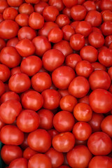 tomatoes background. food texture, new organic harvest
