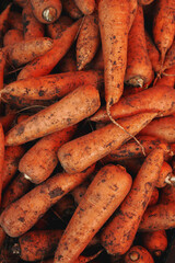 fresh organic carrots on the market