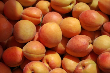 delicious apricots on the market. background, food texture, new harvest.
