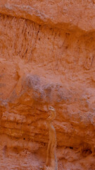 Natures pink and red cliffs