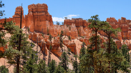Small mesas in background of trees