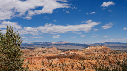 Tree escarpment background