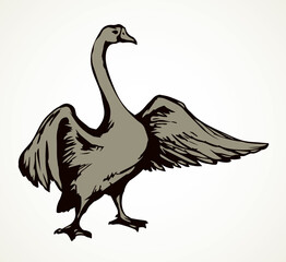 Goose in flight. Vector drawing