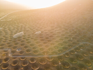 Aerial views of the vineyards in the furrows of volcanic soil on the island of Lanzarote in the...