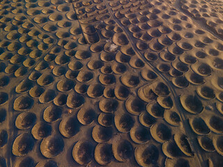 Aerial views of the vineyards in the furrows of volcanic soil on the island of Lanzarote in the...