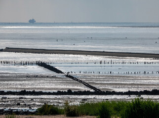 Wattenmeer bei Neuharlingersiel, Niedersachsen, Deutschland