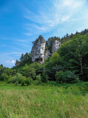 Fototapeta na wymiar A panoramic view on Skala Biala Reka (the White Hand rock) in the Ojcow National Park near Krakow, Lesser Poland, Poland. Tatra mountains. Limestone rock formation. Jurassic Krakow-Czestochowa Upland