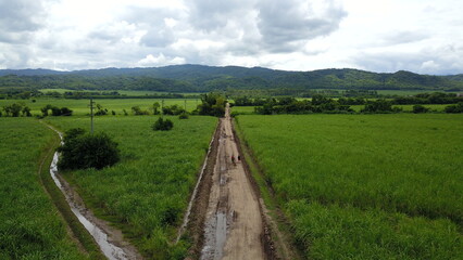 sugarcane cultivation in northwestern Argentina