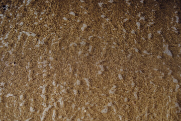Brown sparkling sand mixes with ocean water as foamy waves break upon a tropical beach