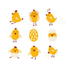 Set with yellow chicks. Vector illustrations