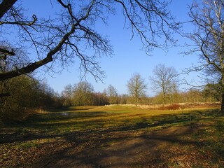 Beautiful nature reserve 'Olens Broek' in Olen, Belgium.