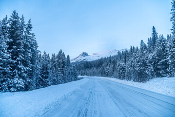 Icefields Pkwy