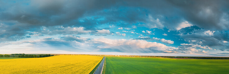 Aerial View Of Agricultural Landscape With Flowering Blooming Oilseed And Green Wheat In Field. Spring Season. Blossom Canola Yellow Flowers. Rainy Clouds Above Beautiful Rural Country Road. Panorama
