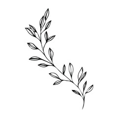 
Flat outline of a branch with leaves. Black and white vector image.