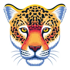 Foto op Plexiglas Isolated jaguar image Jungle wild animal Vector illustration © aratehortua