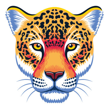 Isolated jaguar image Jungle wild animal Vector illustration