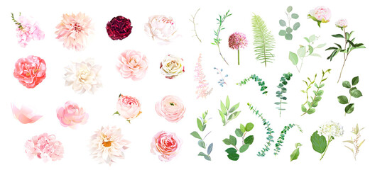 Pink rose, hydrangea, dahlia, white peony, camellia, ranunculus, spring garden flowers