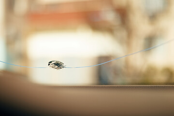 windshield chip, stone crack in glass