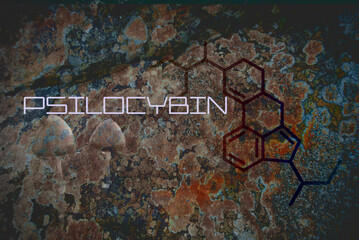 chemical formula of psilocybin on a blackboard Mushroom. Psilocybin mushroom. Close up Magic shroom. Psychedelic drug. Ilustration background for your desigen.