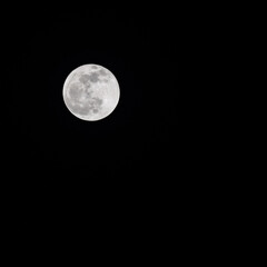 Moon Timelapse, Stock time lapse : Full moon rise in dark nature sky, night time. Full moon disk time lapse with moon light up in night dark black sky. High-quality free video footage or timelapse