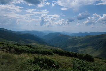 beautiful carpathian mountains, road, hills, forest, ukrainene