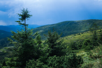 beautiful carpathian mountains, road, hills, forest, ukrainene