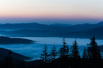 beautiful carpathian mountains, road, hills, forest, ukrainene