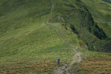 Obraz premium beautiful carpathian mountains, road, hills, forest, ukrainene