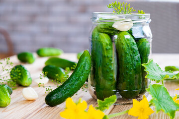 Glass jar with fresh cucumbers, herbs, garlic and dill on wooden board. Cooking pickle cucumbers for home conservation.