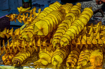 Golden spiral twisted tornado potatoes on a street foot market stall