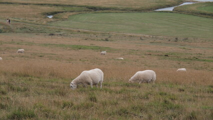 Fototapeta premium Seven sisters