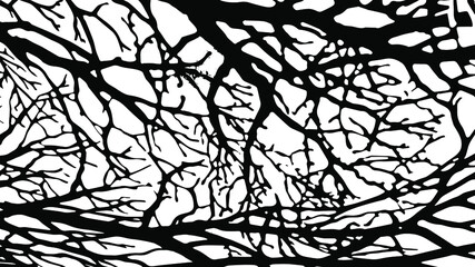 Rustic cracked vector texture with many cracks and scratches. Abstract background. Broken and damaged surface. Aged backdrop. Vector graphic illustration with transparent white. EPS10.