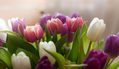 Beautiful bouquet of pink tulips in vase against blurred background