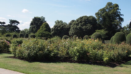 Fototapeta na wymiar Kew Gardens