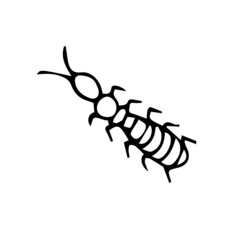 ant set of insects