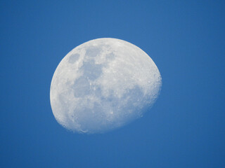 Moon in the blue sky