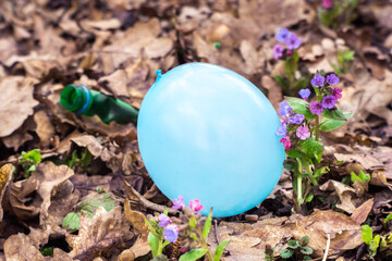 A blue air balloon and a green plastic bottle close-up with spring primroses on the background of...