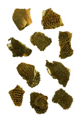 Pieces of raw unbleached beef's tripe isolated on white background 
