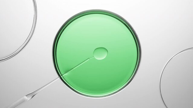 Top view macro shot of chemical dropper injects oil into green fluid in one of three petri dishes on light grey background | Abstract skin care cosmetics formulation concept