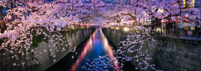Panoramic view of the Nakameguro Cherry Blossom Festival in Tokyo, Japan	
