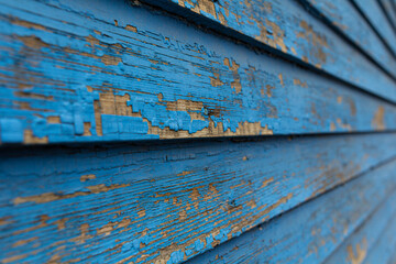 Close-up of chipping blue paint from the wood siding of an old house.