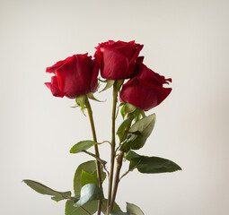 Bouquet of three roses