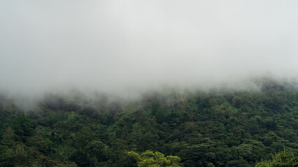 Image of fog forming on a tropical mountain slope. Photo taken in Boquete, Panama.