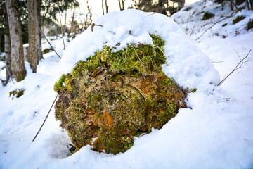 Snow, stone, forest, chunks, nature, landscape, rock