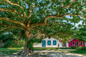 Passeio em povoado de centro histórico de Trancoso na Bahia, lindas casinhas antigas de janelas e portas de madeira, pessoas passeando e uma grande árvore a frete.