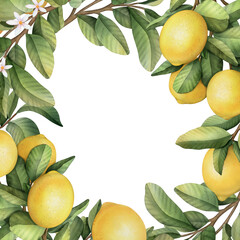 Hand drawn frame of watercolor lemon. Watercolor illustration wreath of lemon and leaves. 