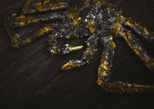 King Crab with lemon and cilantro on black background. Top view.